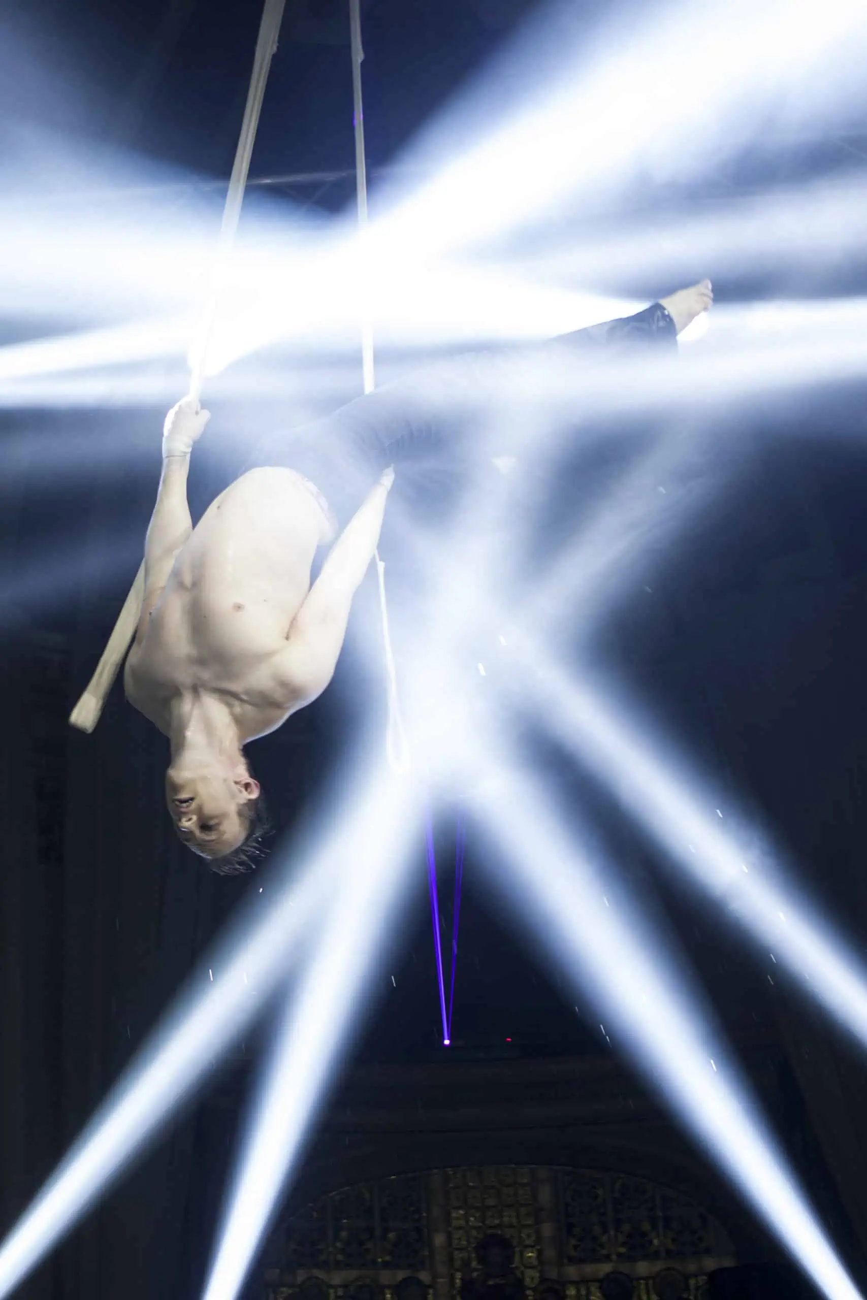 CIRCUS ACTS